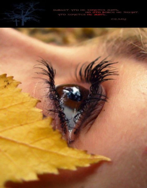 Анастасия Стама