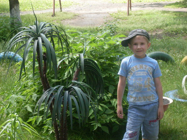 Данил Коротков