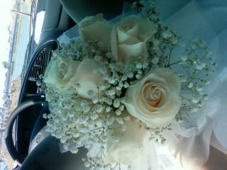 Елена Лукьяночева