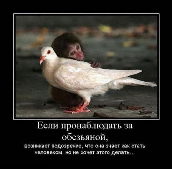 Евгений Ванюшов