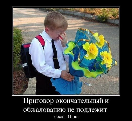 Илья Шикиль