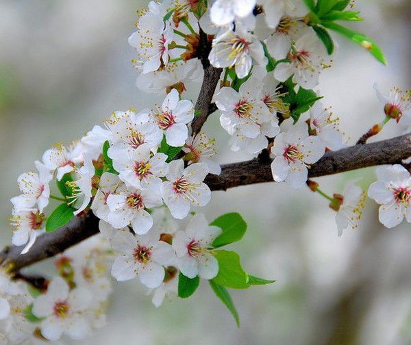 Нургуль Сагидолдина