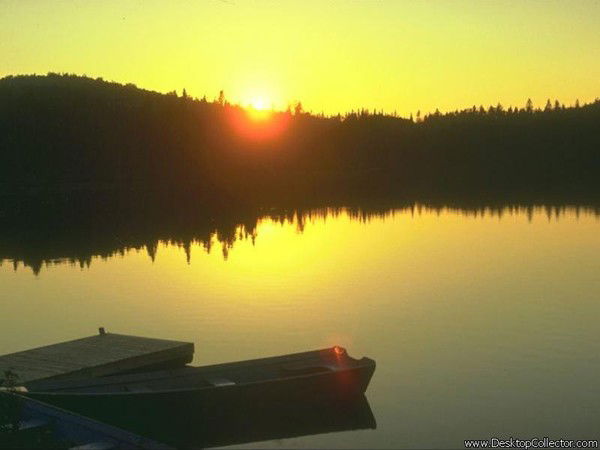 Елена Юрлова