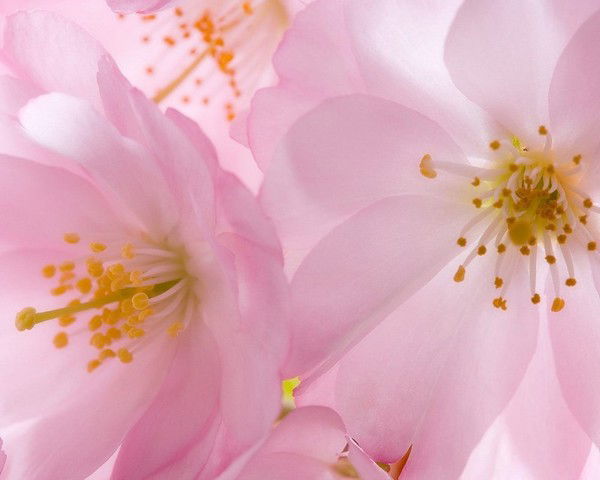 Гульнара Миннуллина