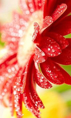 Ксения Мулинцева