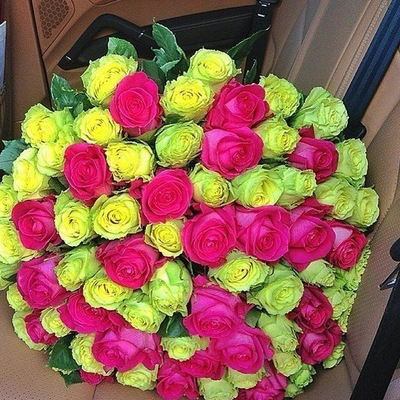 Кристина Шаймердянова