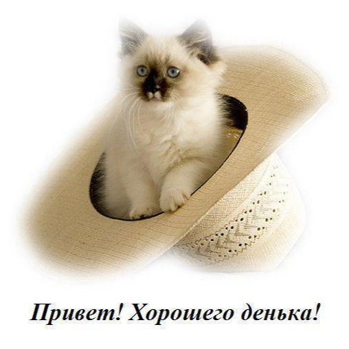 Татьяна Герасимова