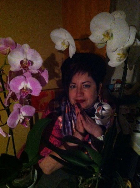 Елена Шевченко