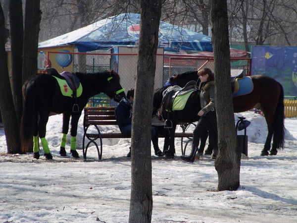 Бакыт Раимжанов