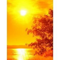 Лиана Кайбышева