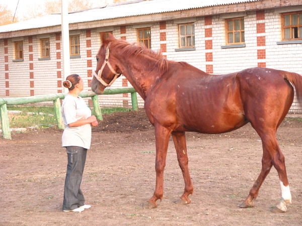 Елизавета Журавлева