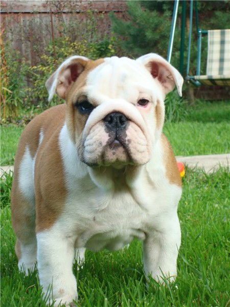 Светлана Ильина