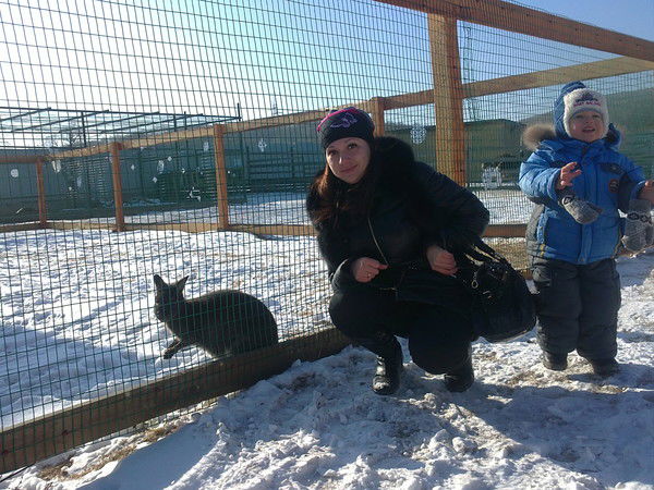 Екатерина Семенищева