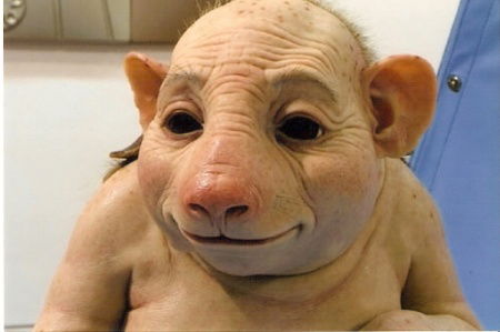 Александр Кононов