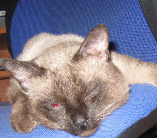 Раис Гилязов