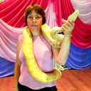 Елена Яночкина
