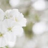 Айнур Доскалиева