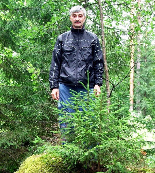 Сергей Курников