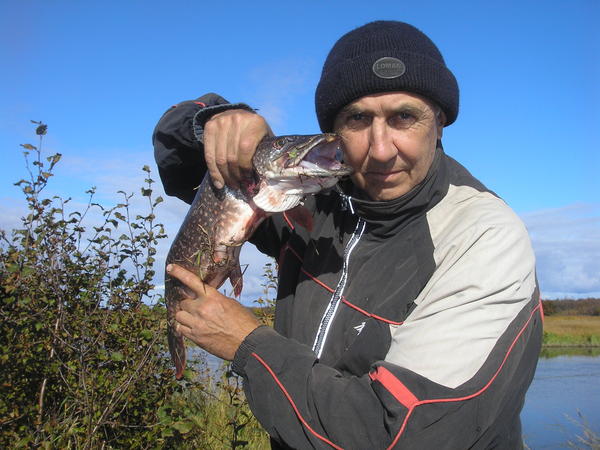 Николай Иванович Коротченко