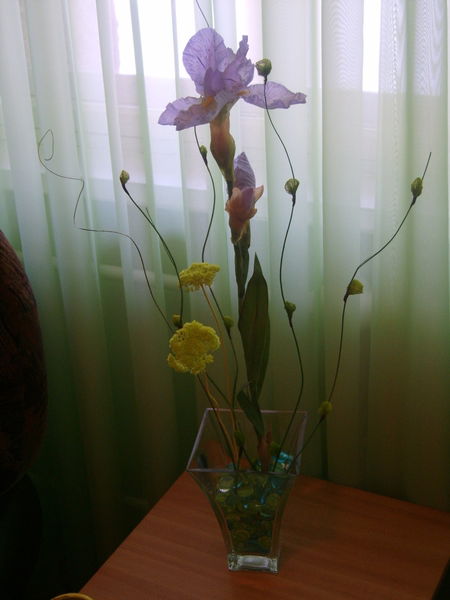 Дружба *******