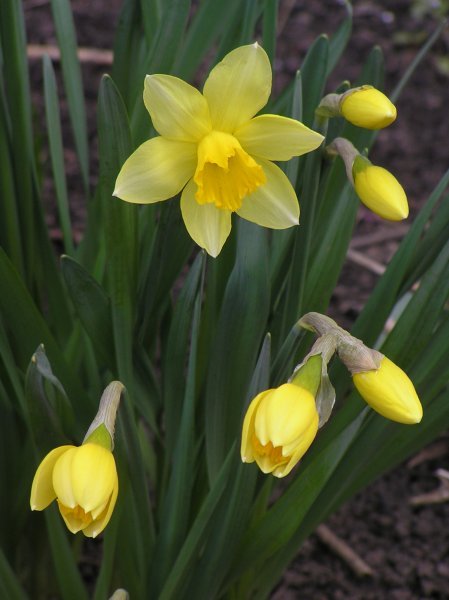 Гульбараш Маткаримова