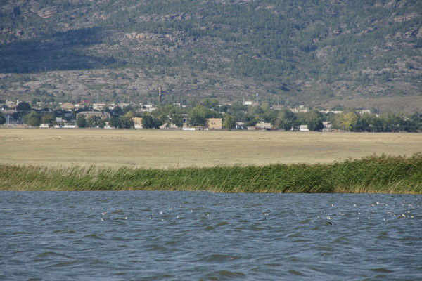 Бекзат Какенов