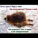 ... ....