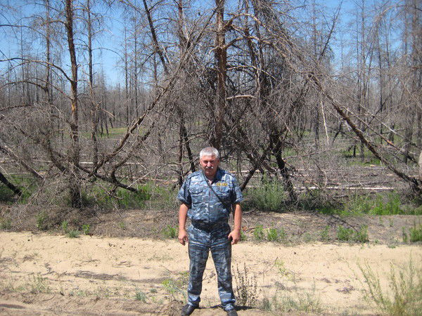 Сергей Решетников