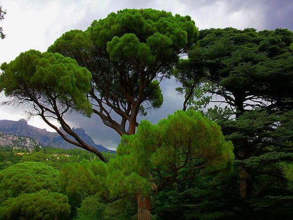 Виталий Ткаченко