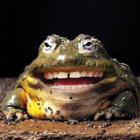 Николай Васильев