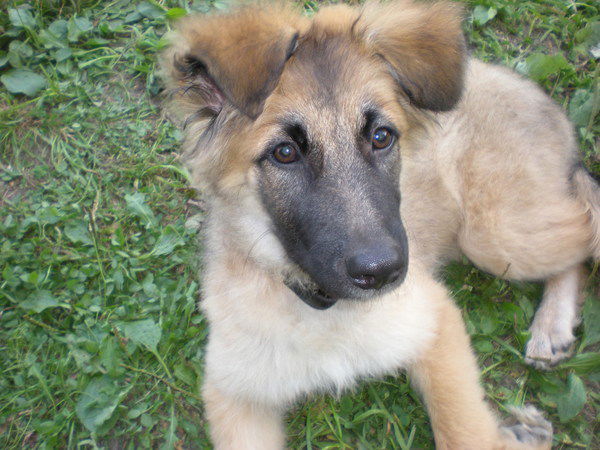 Елена Ивашкина