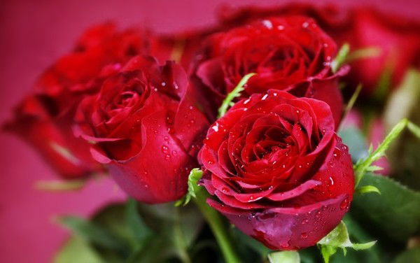 Тке Филиал №1