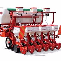 Анна Соломоненко