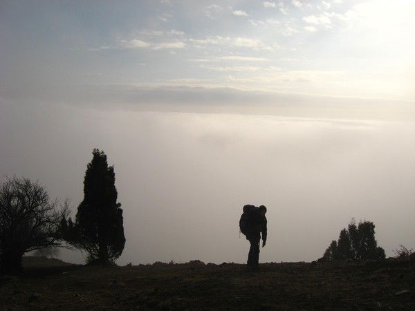 Анатолий Шарипов