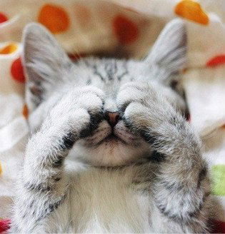 Елена Наумова