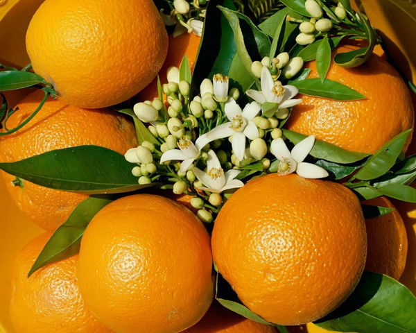 Анжелика Счастливая