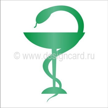 Светлана Локоть