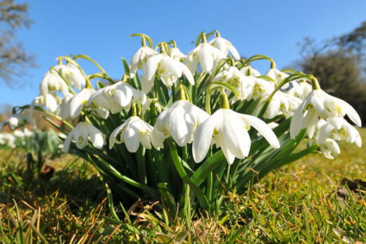 Имя Фамилия