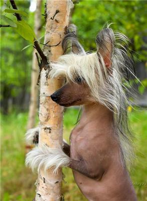 Яна Костина