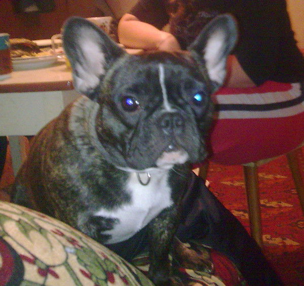 Валерий Спирин