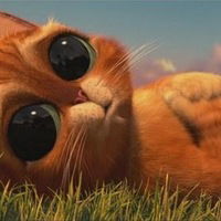 Дмитрий Дрожжин