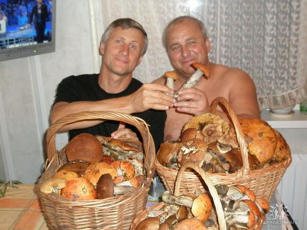 Александр Кривов