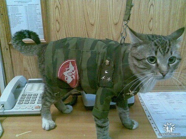 Группа 1 Ротор