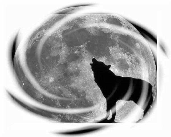 Продажа Стим Акаунтов