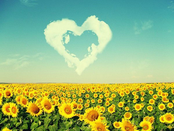 Катя Садовська