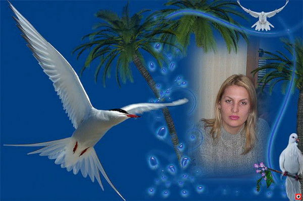 Анастасия Злобина