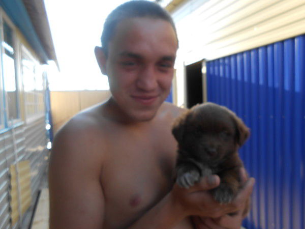 Евгений Шитц