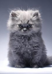 Неизвестно Неизвестно