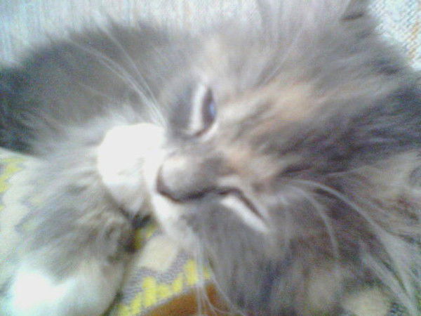 Анна Зайцева