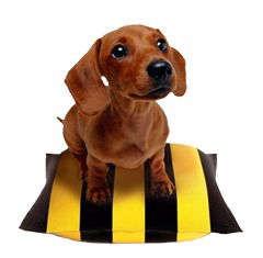 Диана Мунтяну